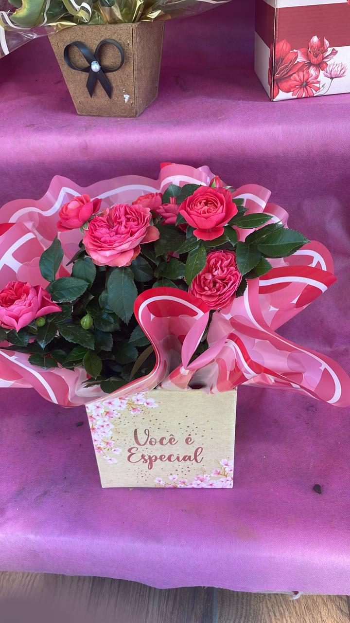 Vaso com rosas rosa